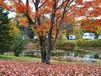 automne